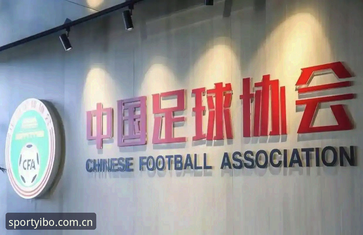 资深用户分享：从足协第三批禁足名单看中国足球的深层变革
