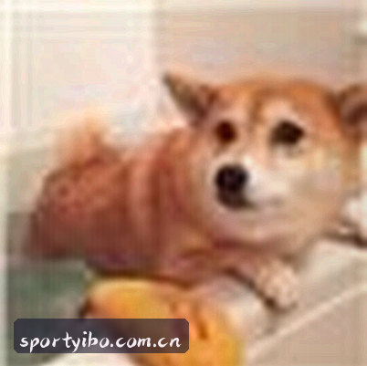 李猛